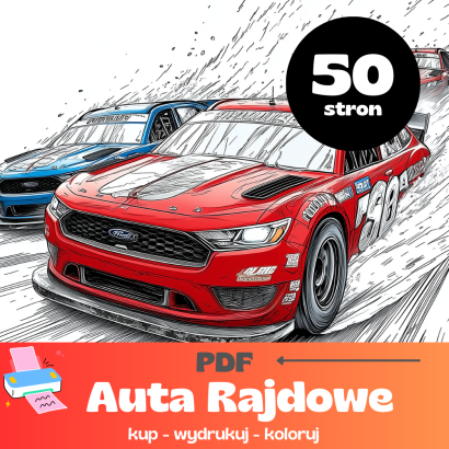 Kolorowanka PDF Auta Rajdowe
